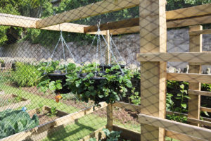 South Hams Fencing and Landscaping