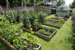 South Hams Fencing and Landscaping