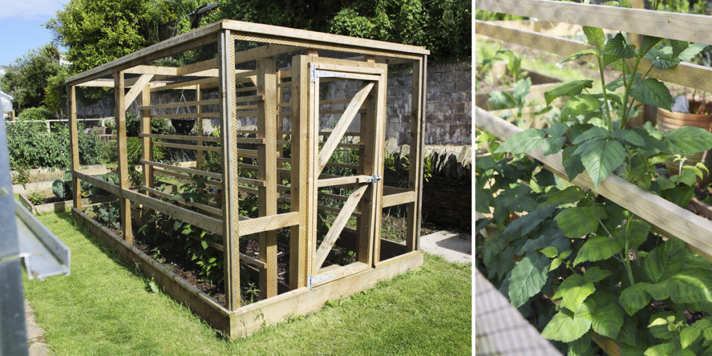 EDIBLE_GARDEN_LINE_SLIDER_2